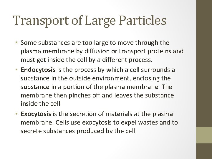 Transport of Large Particles • Some substances are too large to move through the