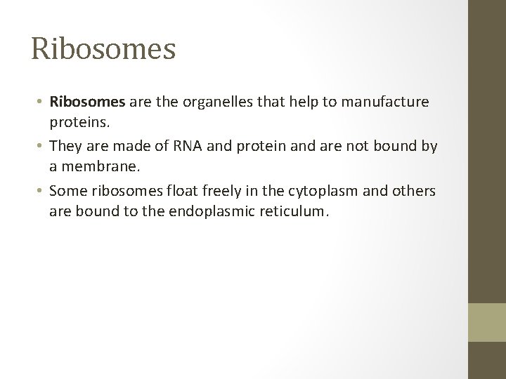 Ribosomes • Ribosomes are the organelles that help to manufacture proteins. • They are