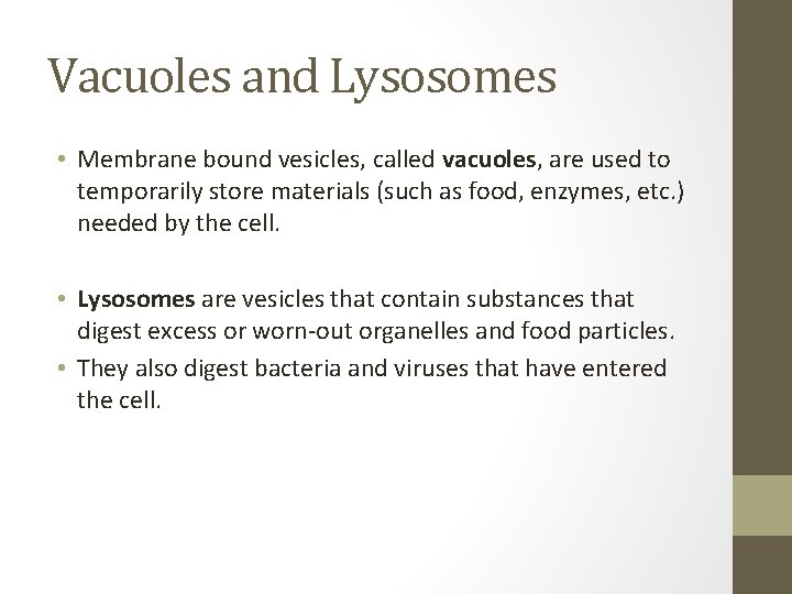 Vacuoles and Lysosomes • Membrane bound vesicles, called vacuoles, are used to temporarily store