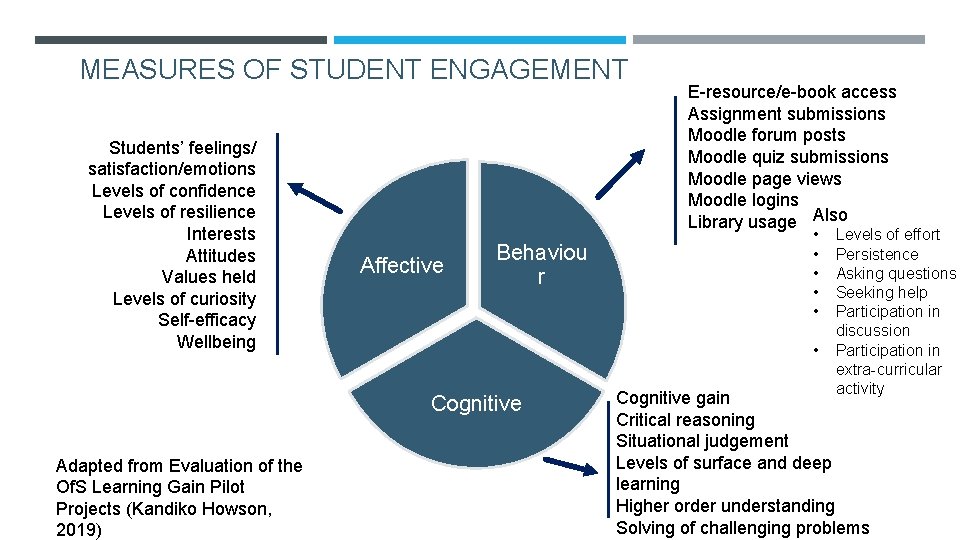 MEASURES OF STUDENT ENGAGEMENT Students’ feelings/ satisfaction/emotions Levels of confidence Levels of resilience Interests MEASURES OF STUDENT ENGAGEMENT Students’ feelings/ satisfaction/emotions Levels of confidence Levels of resilience Interests