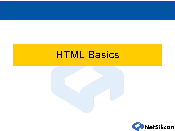 HTML Basics 