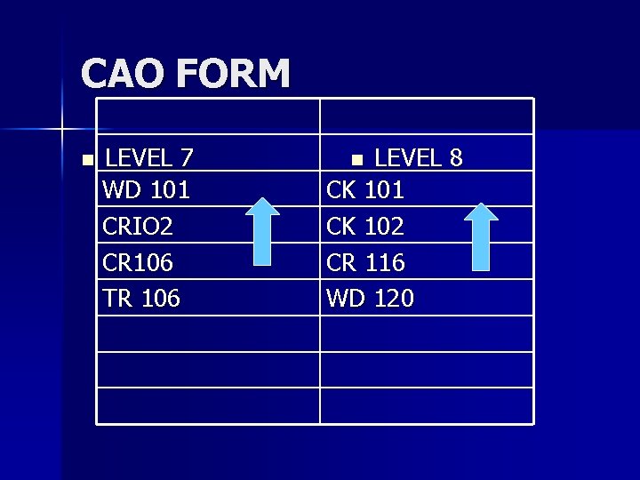 CAO FORM n LEVEL 7 WD 101 CRIO 2 CR 106 TR 106 LEVEL