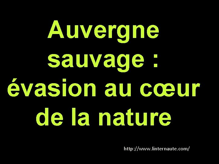 Auvergne sauvage : évasion au cœur de la nature http: //www. linternaute. com/ 