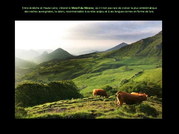 Entre Ardèche et Haute-Loire, s'étend le Massif du Mézenc, où il n'est pas rare