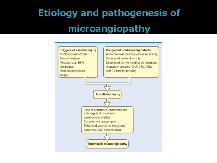 Etiology and pathogenesis of microangiopathy 