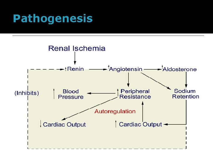 Pathogenesis 