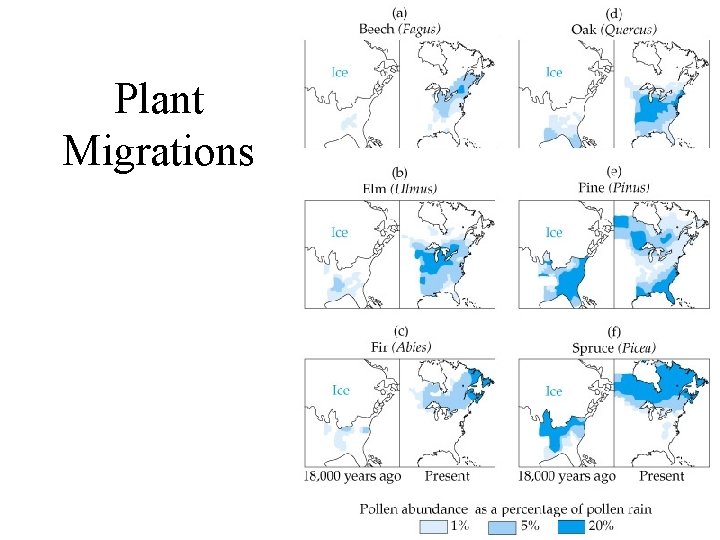 Plant Migrations 