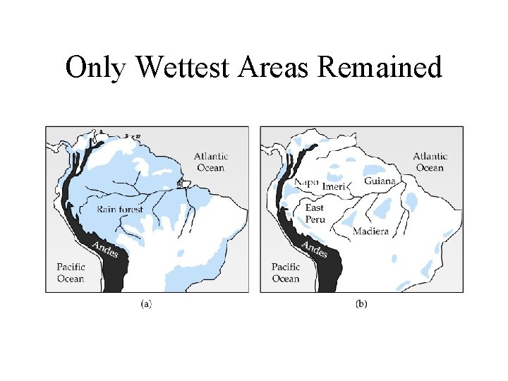 Only Wettest Areas Remained 