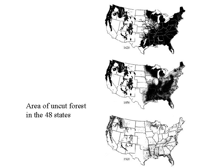 Area of uncut forest in the 48 states 