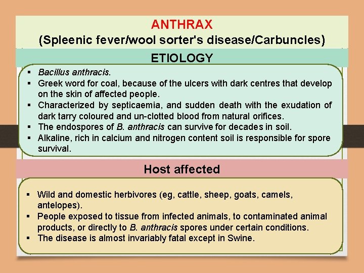 ANTHRAX (Spleenic fever/wool sorter's disease/Carbuncles) ETIOLOGY § Bacillus anthracis. § Greek word for coal,