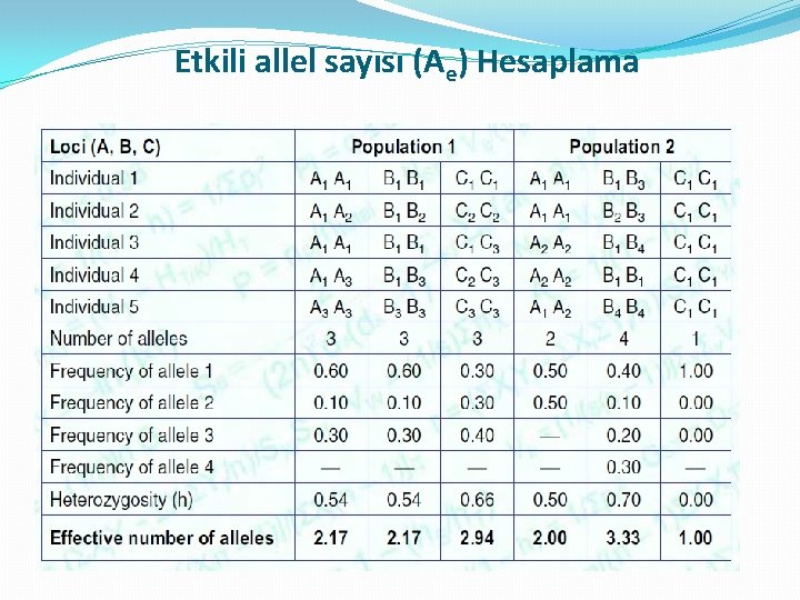 Etkili allel sayısı (Ae) Hesaplama 