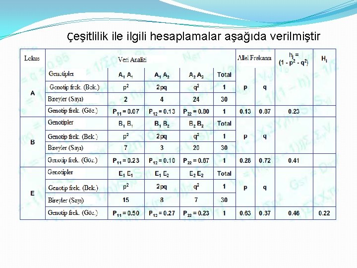 Çeşitlilik ile ilgili hesaplamalar aşağıda verilmiştir 