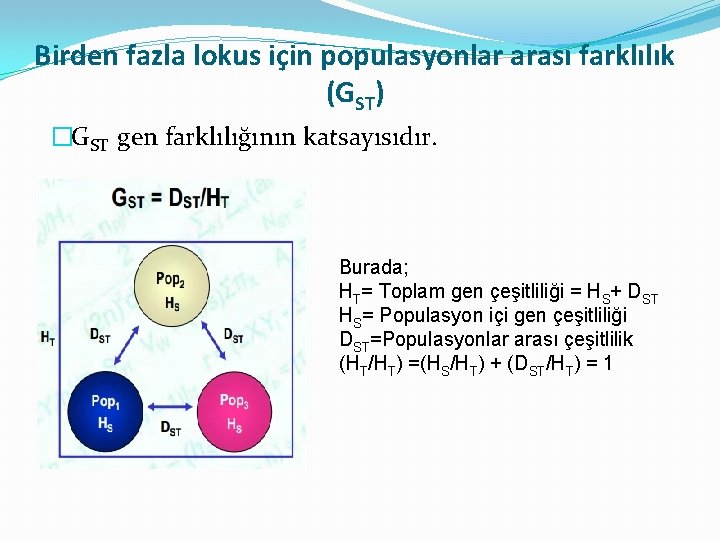 Birden fazla lokus için populasyonlar arası farklılık (GST) �GST gen farklılığının katsayısıdır. Burada; HT=