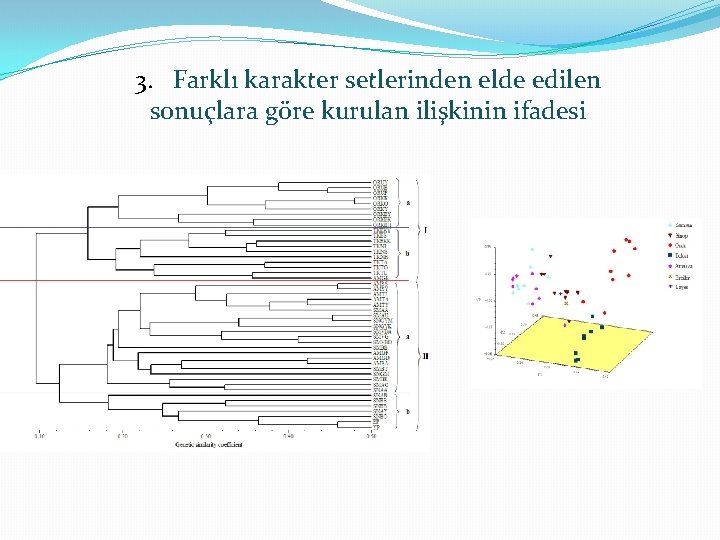 3. . Farklı karakter setlerinden elde edilen sonuçlara göre kurulan ilişkinin ifadesi 