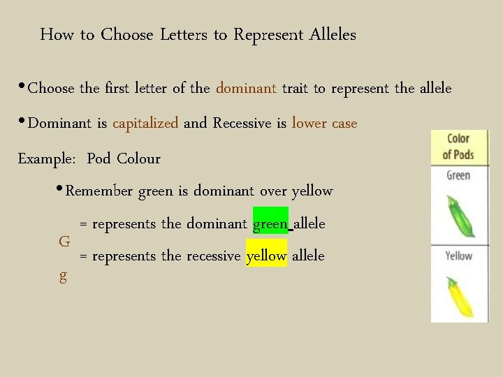 How to Choose Letters to Represent Alleles • Choose the first letter of the