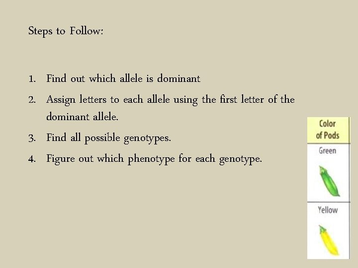 Steps to Follow: 1. Find out which allele is dominant 2. Assign letters to