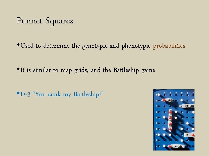 Punnet Squares • Used to determine the genotypic and phenotypic probabilities • It is
