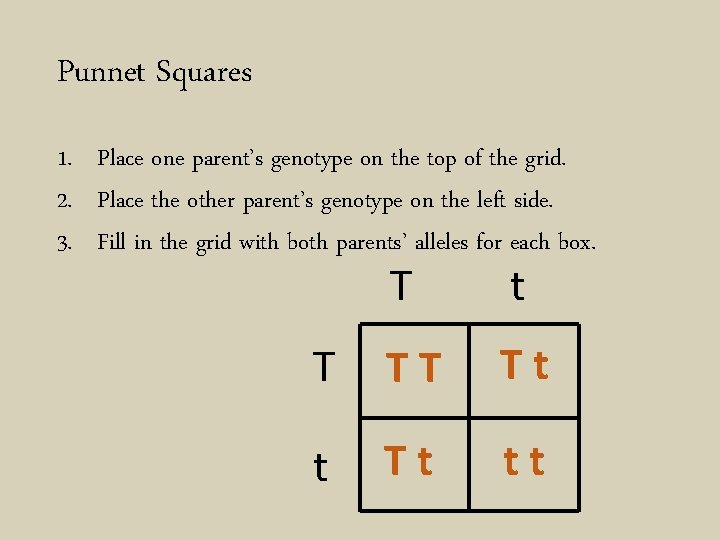 Punnet Squares 1. Place one parent’s genotype on the top of the grid. 2.