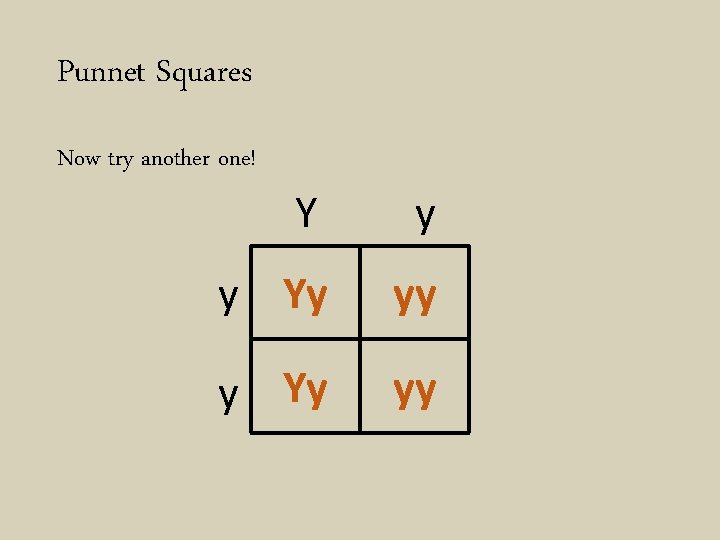 Punnet Squares Now try another one! Y y y Yy yy 