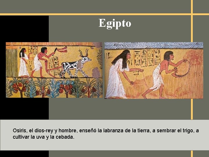 Egipto Osiris, el dios-rey y hombre, enseñó la labranza de la tierra, a sembrar