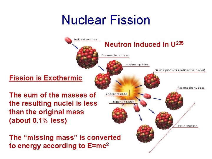 Nuclear Fission Neutron induced in U 235 Fission is Exothermic The sum of the