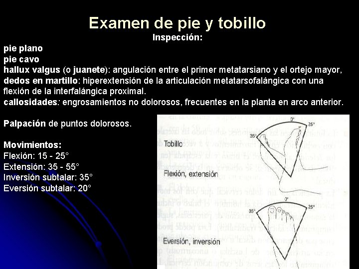 Examen de pie y tobillo Inspección: pie plano pie cavo hallux valgus (o juanete):