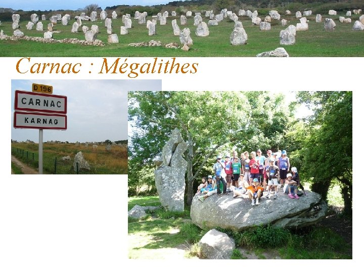 Carnac : Mégalithes 