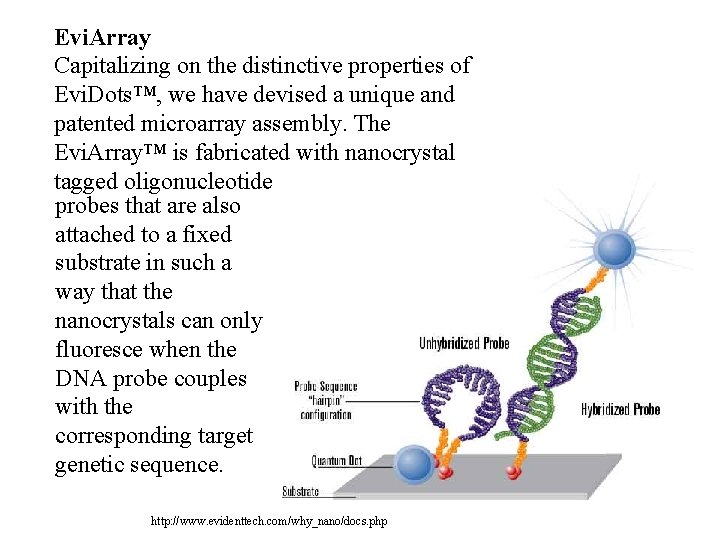 Evi. Array Capitalizing on the distinctive properties of Evi. Dots™, we have devised a