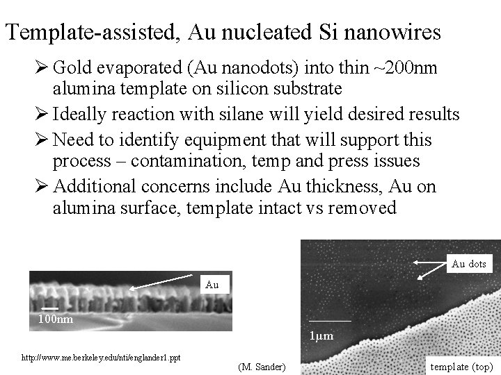 Template-assisted, Au nucleated Si nanowires Ø Gold evaporated (Au nanodots) into thin ~200 nm