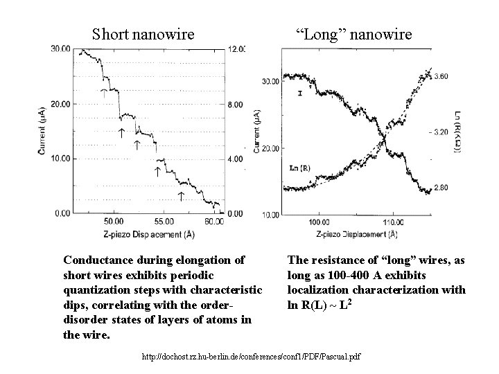 Short nanowire Conductance during elongation of short wires exhibits periodic quantization steps with characteristic