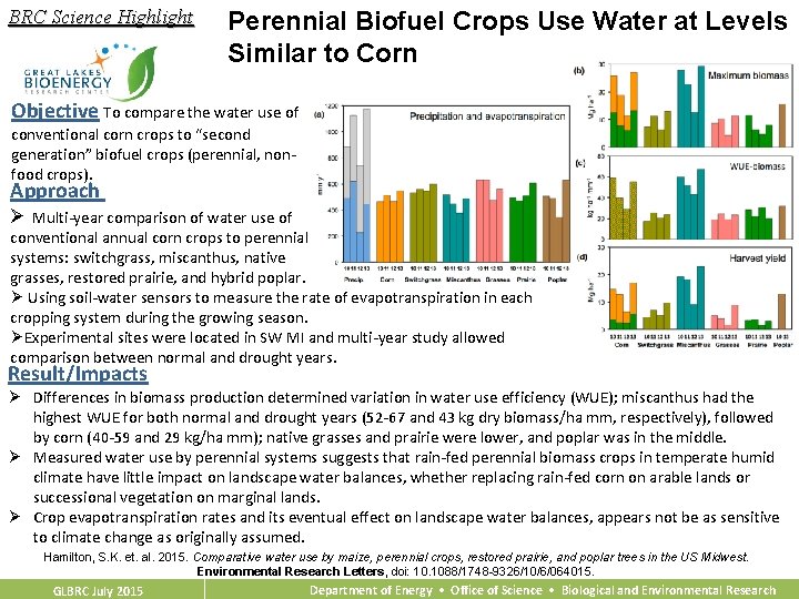 BRC Science Highlight Perennial Biofuel Crops Use Water at Levels Similar to Corn Objective