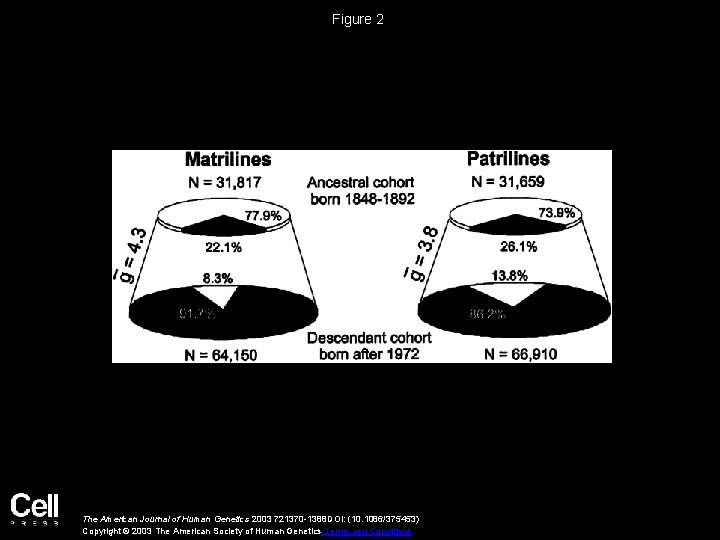 Figure 2 The American Journal of Human Genetics 2003 721370 -1388 DOI: (10. 1086/375453)