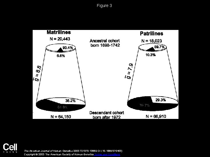 Figure 3 The American Journal of Human Genetics 2003 721370 -1388 DOI: (10. 1086/375453)