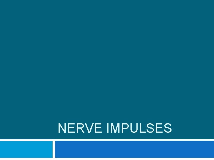 NERVE IMPULSES 