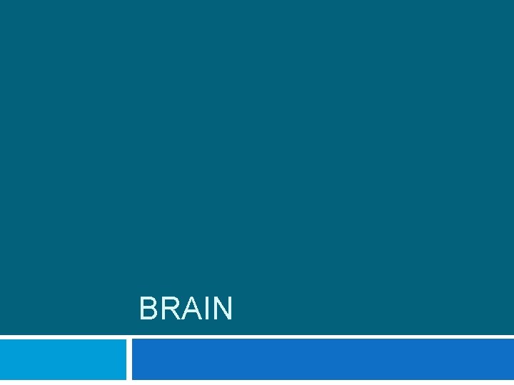 BRAIN 