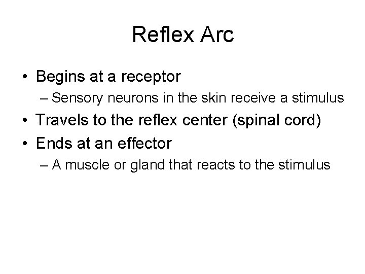 Reflex Arc • Begins at a receptor – Sensory neurons in the skin receive