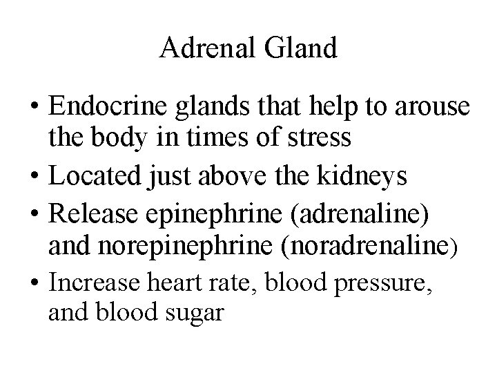 Adrenal Gland • Endocrine glands that help to arouse the body in times of