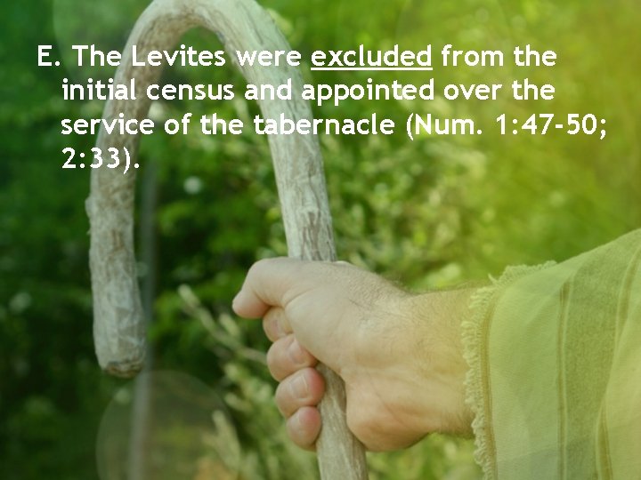 E. The Levites were excluded from the initial census and appointed over the service
