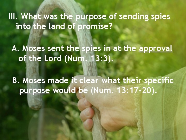 III. What was the purpose of sending spies into the land of promise? A.
