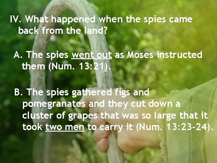 IV. What happened when the spies came back from the land? A. The spies