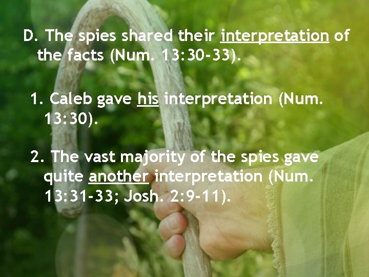 D. The spies shared their interpretation of the facts (Num. 13: 30 -33). 1.