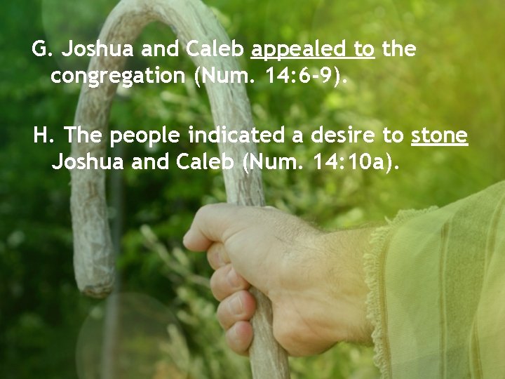 G. Joshua and Caleb appealed to the congregation (Num. 14: 6 -9). H. The