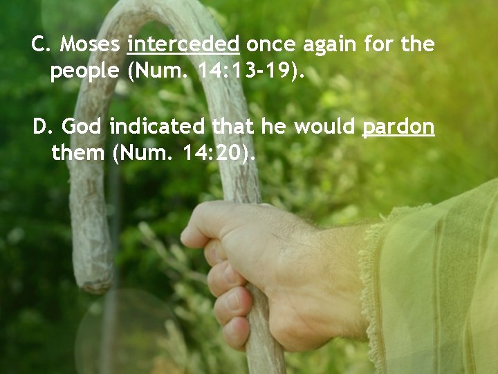 C. Moses interceded once again for the people (Num. 14: 13 -19). D. God