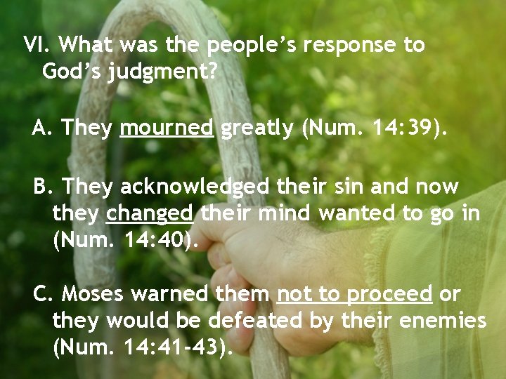 VI. What was the people’s response to God’s judgment? A. They mourned greatly (Num.