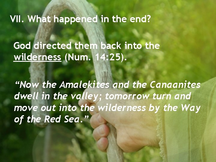 VII. What happened in the end? God directed them back into the wilderness (Num.