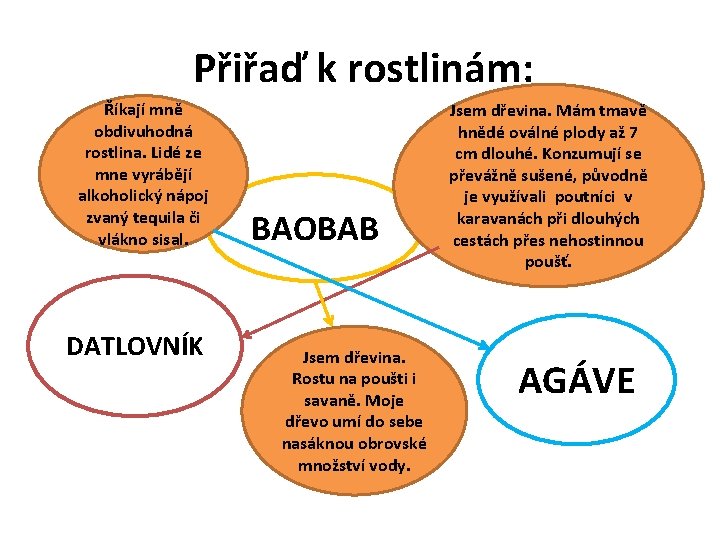 Přiřaď k rostlinám: Říkají mně obdivuhodná rostlina. Lidé ze mne vyrábějí alkoholický nápoj zvaný