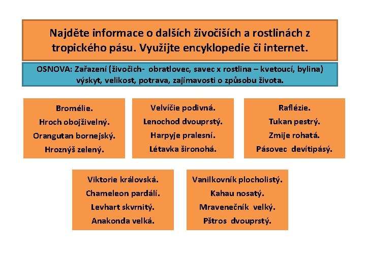 Najděteskupinky informace opodle dalších smluvených živočiších a rostlinách z Utvořte pravidel. tropického pásu. Využijte