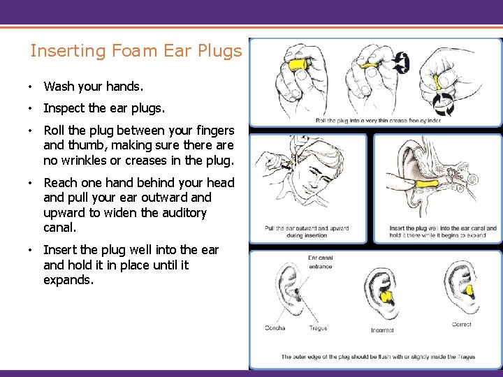 Inserting Foam Ear Plugs • Wash your hands. • Inspect the ear plugs. •