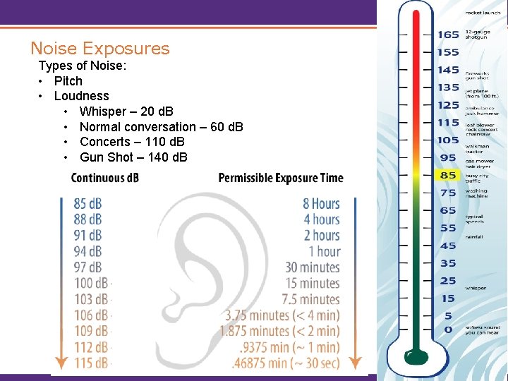 Noise Exposures Types of Noise: • Pitch • Loudness • Whisper – 20 d.