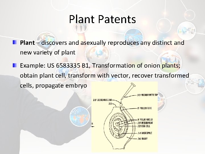 Plant Patents Plant – discovers and asexually reproduces any distinct and new variety of